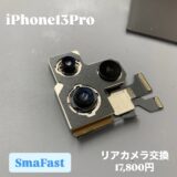 黒い斑点が