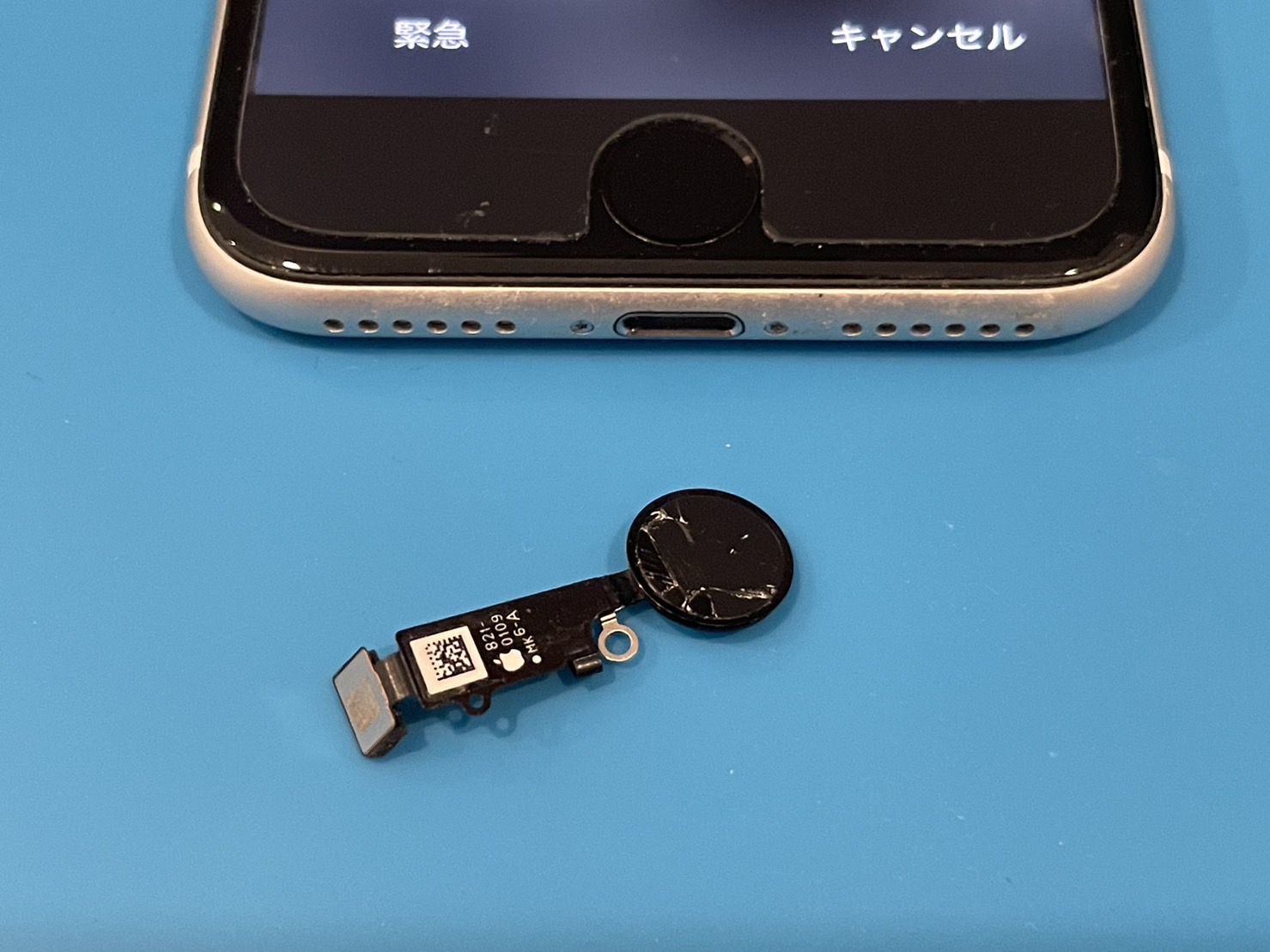 iPhoneSE2ホームボタン割れのお直し【iPhone修理所沢】