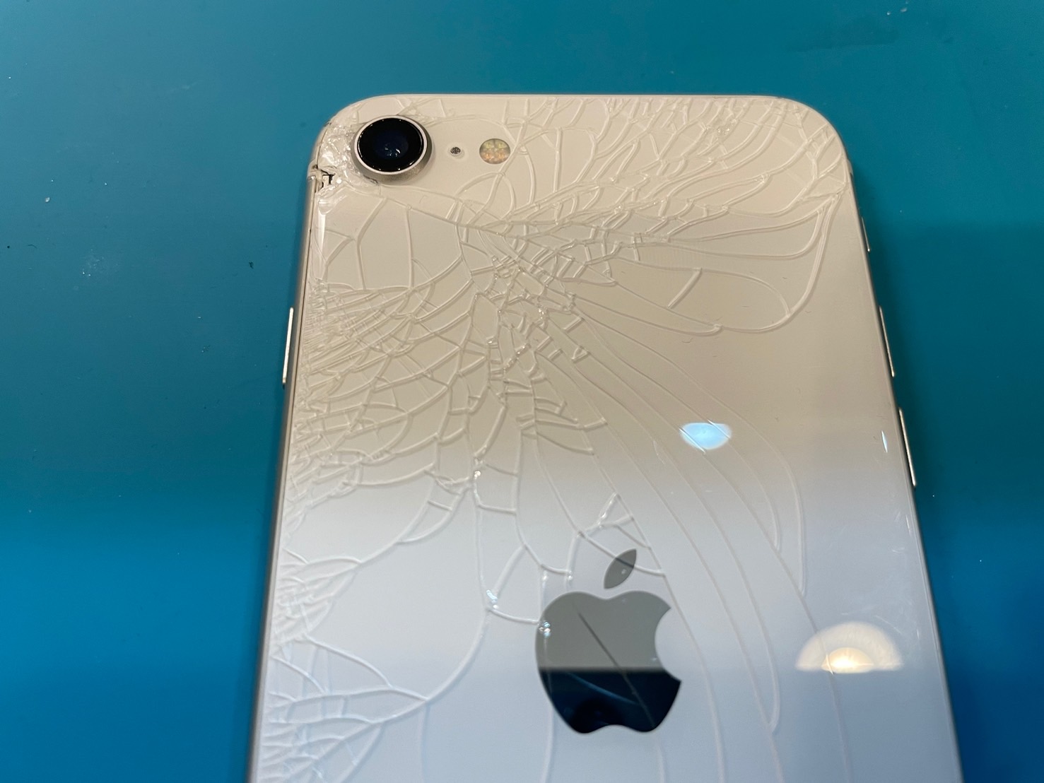 iPhone SE 第三世代 背面ひび割れあり iPhone SE第3世代、背面バキバキ事件発生！専用機械で修理