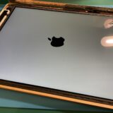 iPadリンゴループの復旧修理【iPad修理所沢】