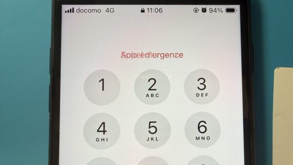 iPhoneSE3画面に横線が入る症状の修理【iPhone修理所沢】